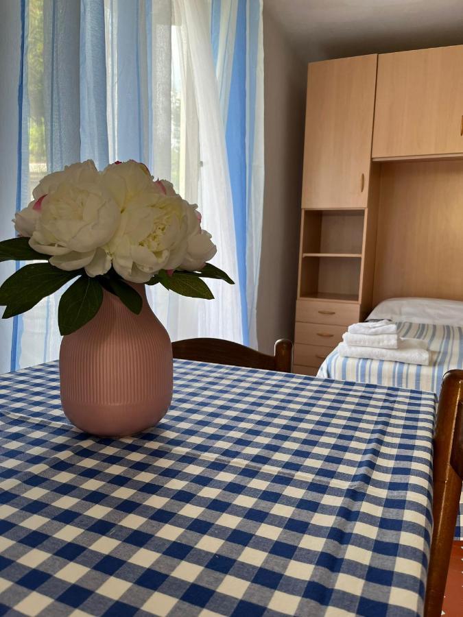 Casa Violetta Bed & Breakfast マリーナ・ディ・マッサ エクステリア 写真