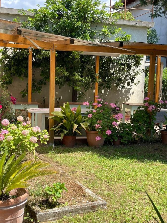Casa Violetta Bed & Breakfast マリーナ・ディ・マッサ エクステリア 写真